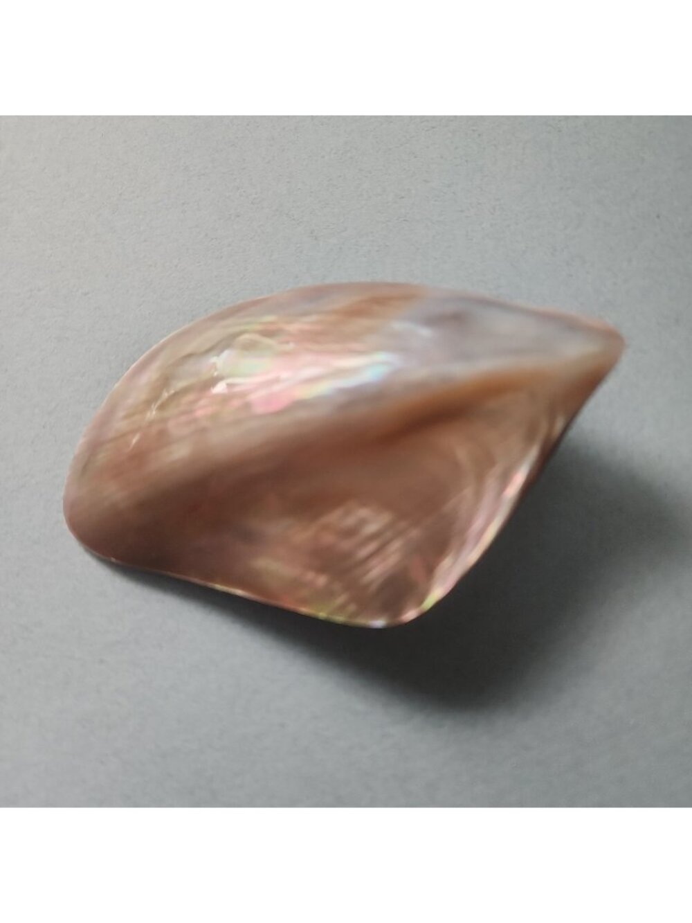 Vintage Mother of Pearl Belt Buckle Iridescent Shell Brass Back 3"